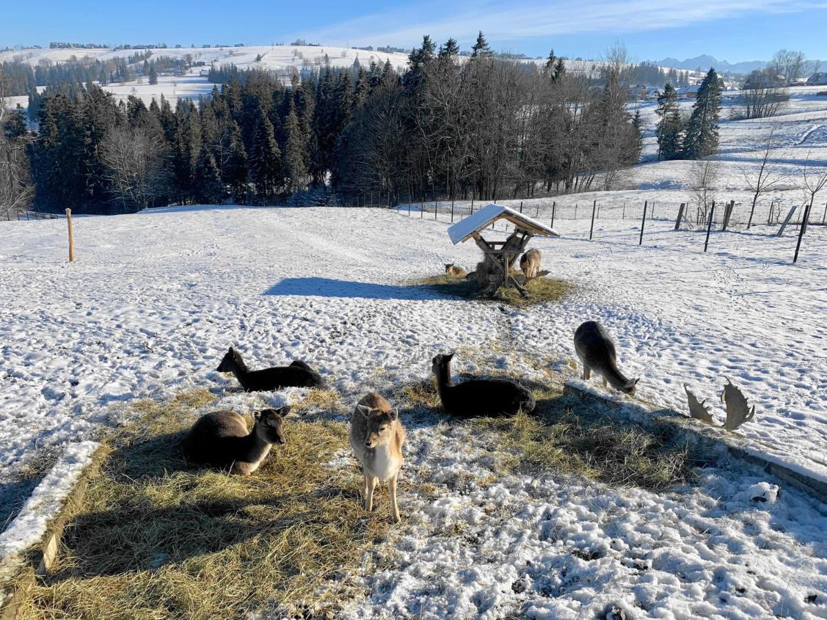 Osrodek Wypoczynkowy U Bartka Bed and Breakfast Czerwienne Eksteriør billede